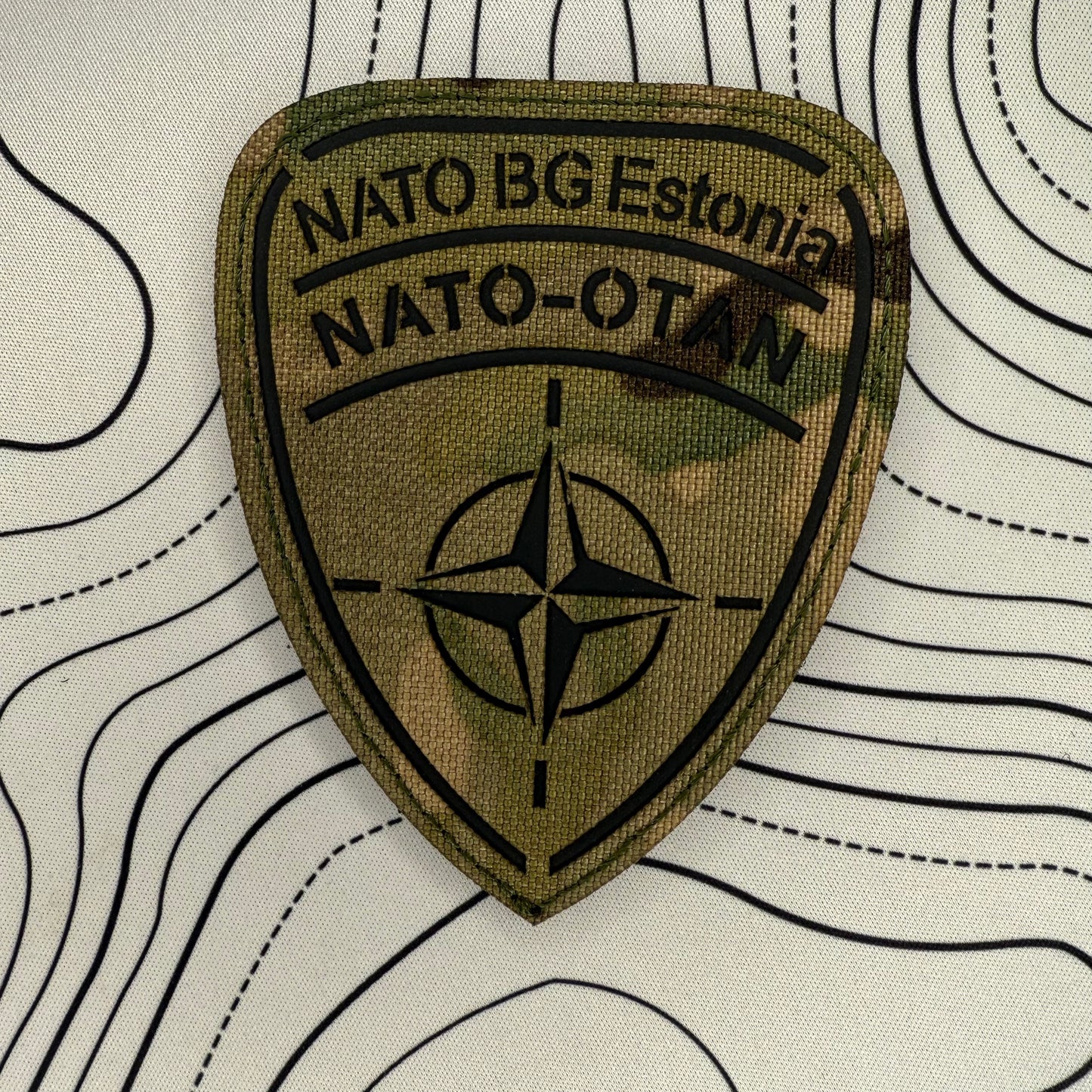 NATO Battle Group (BG) Estonia