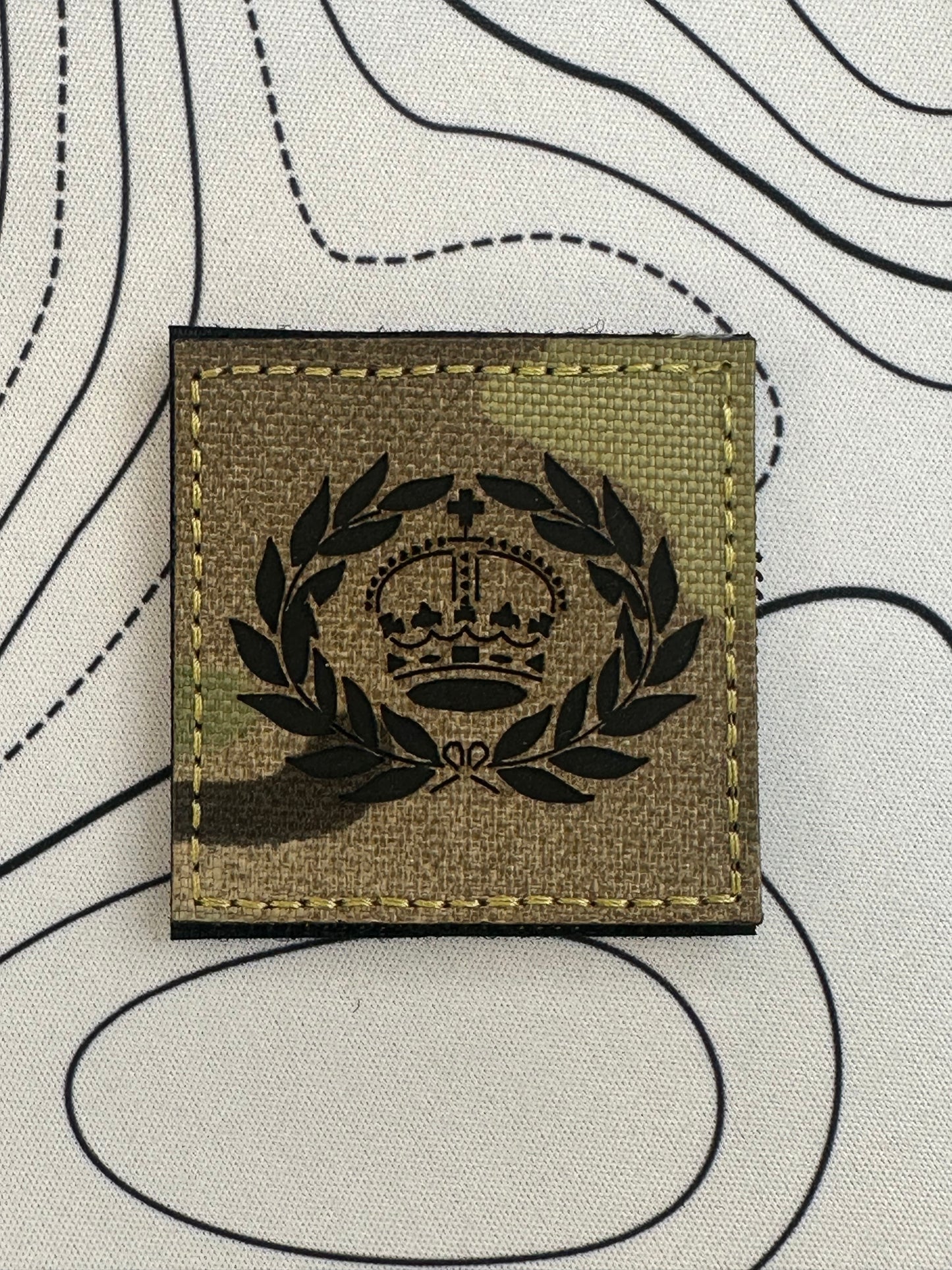 WO2, Company/Squadron Sergeant major (CSM) IRR