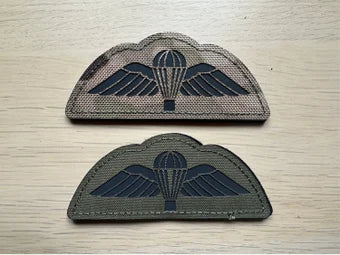 Para Wings