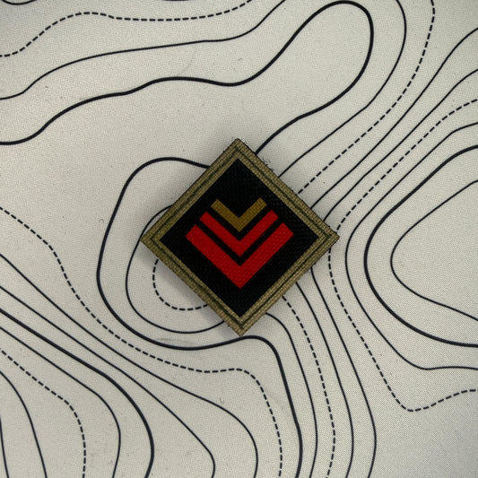 Royal Dragoon Guards (RDG) TRF