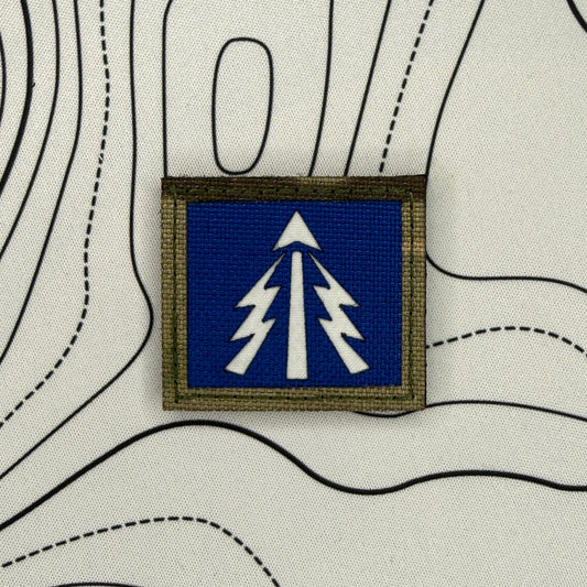 1st queens dragoon guards (QDG) TRF
