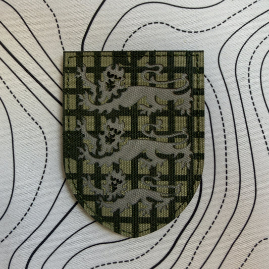 England 3 lions patch (DNC)
