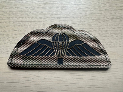Para Wings